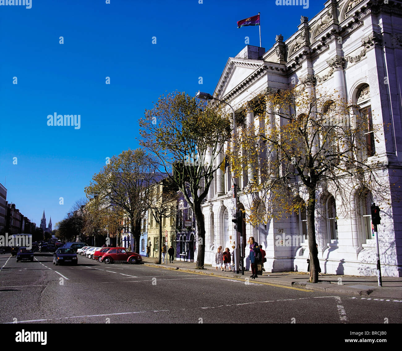 My Image 20