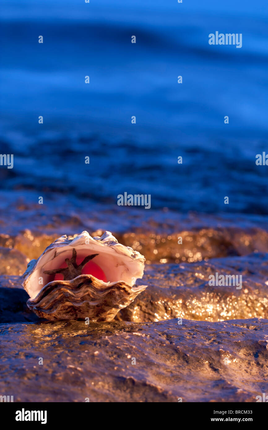 Oyster with Tomato Stock Photo