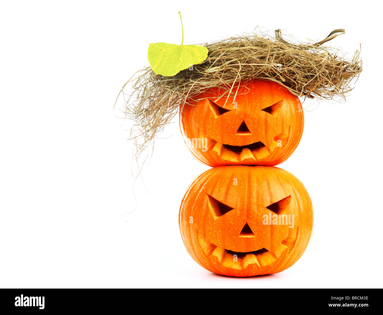 Scary Halloween pumpkins isolated on white background Stock Photo - Alamy