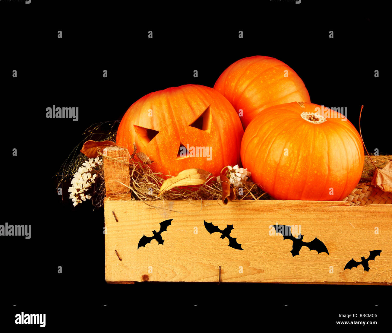 Scary Halloween pumpkins isolated on black background Stock Photo - Alamy
