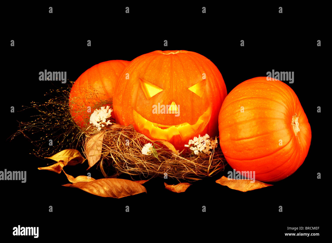 Scary Halloween pumpkins isolated on black background Stock Photo - Alamy
