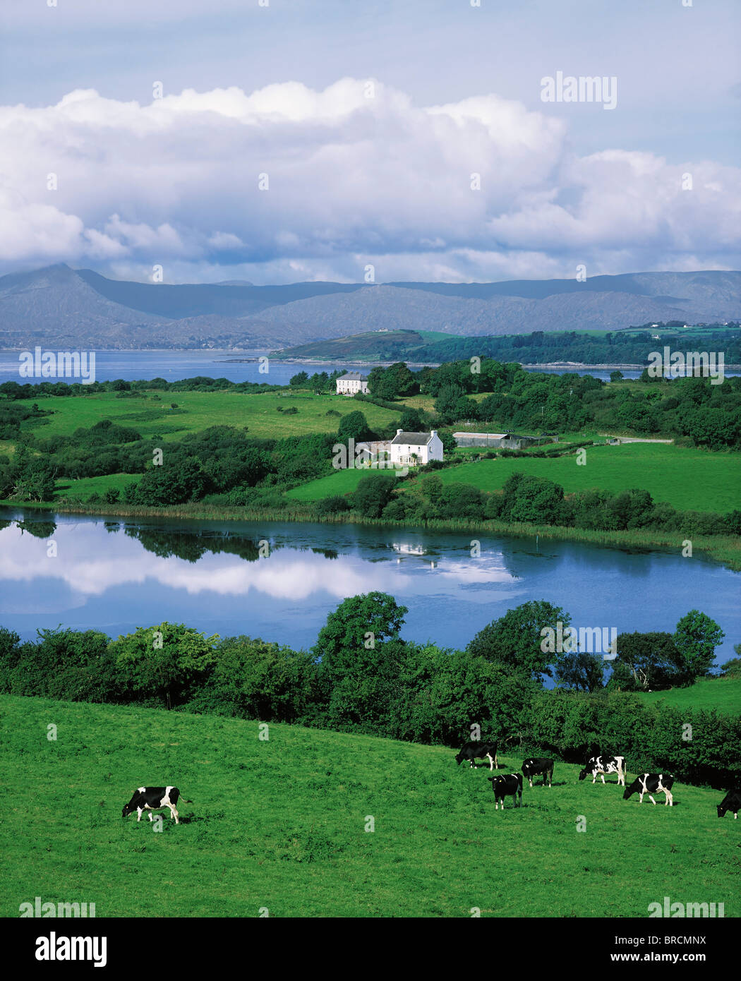 Bantry Bay, Co Cork, Ireland Stock Photo Alamy