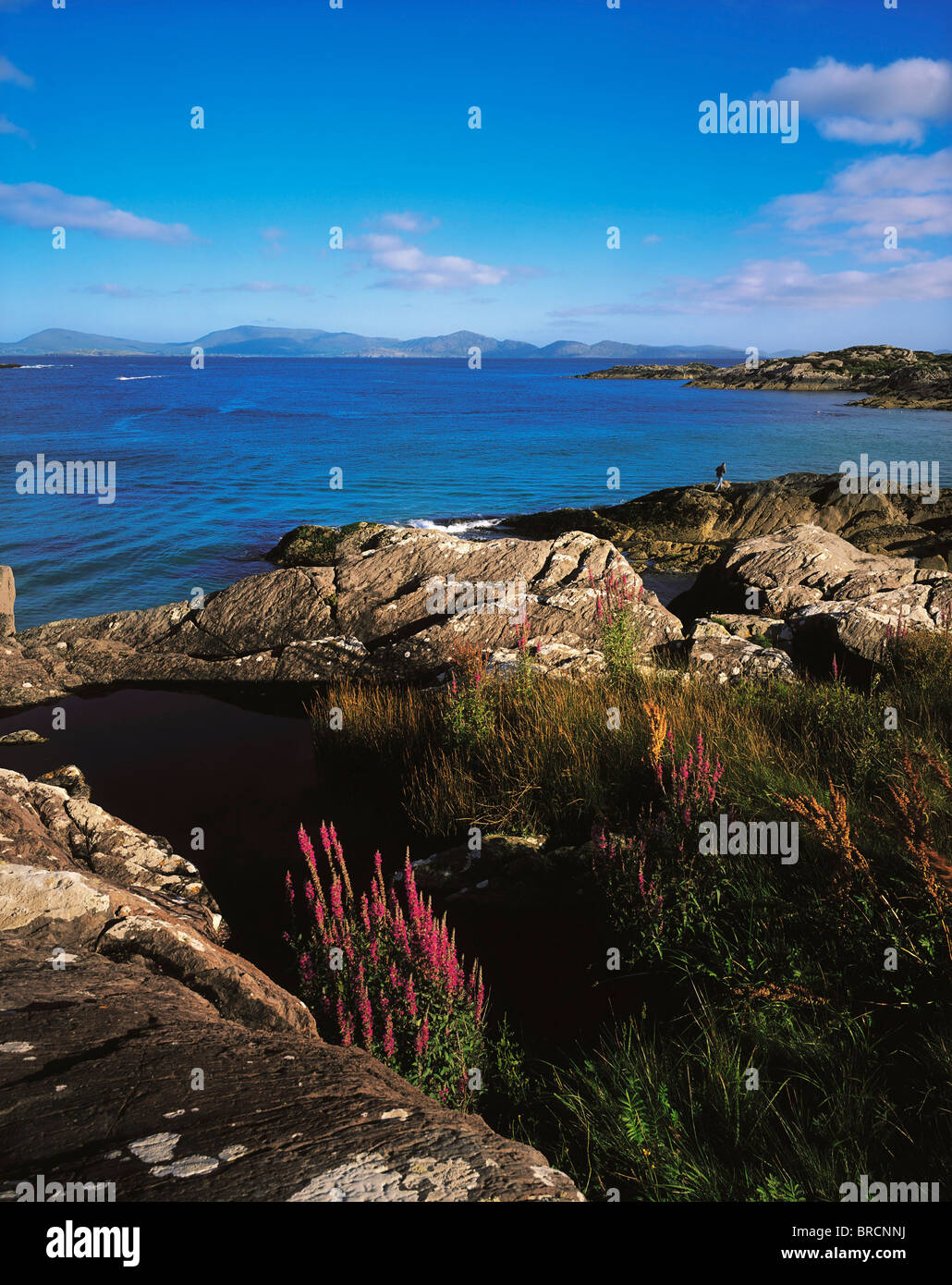 Ring Of Kerry, Co Kerry, Ireland; Atlantic From The Shore Near Sneem