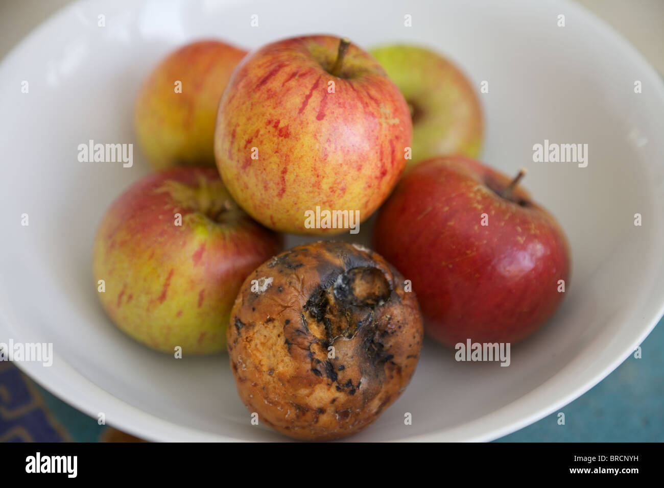 Rotton apple hi-res stock photography and images - Alamy
