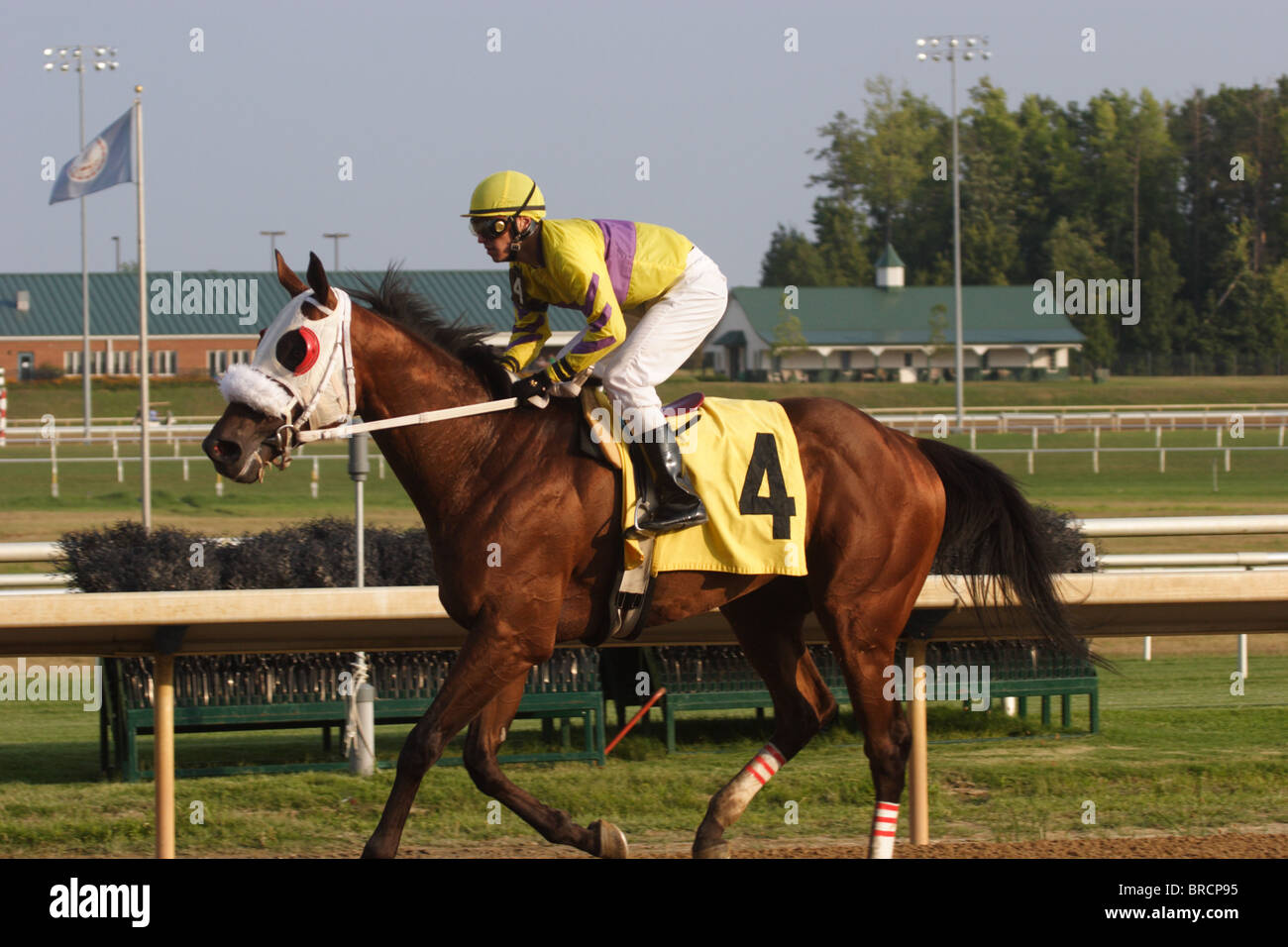 Page 3 Horse Racing Starting Gate High Resolution Stock Photography And Images Alamy Page 3 Horse Racing Starting Gate High Resolution Stock Photography And Images Alamy