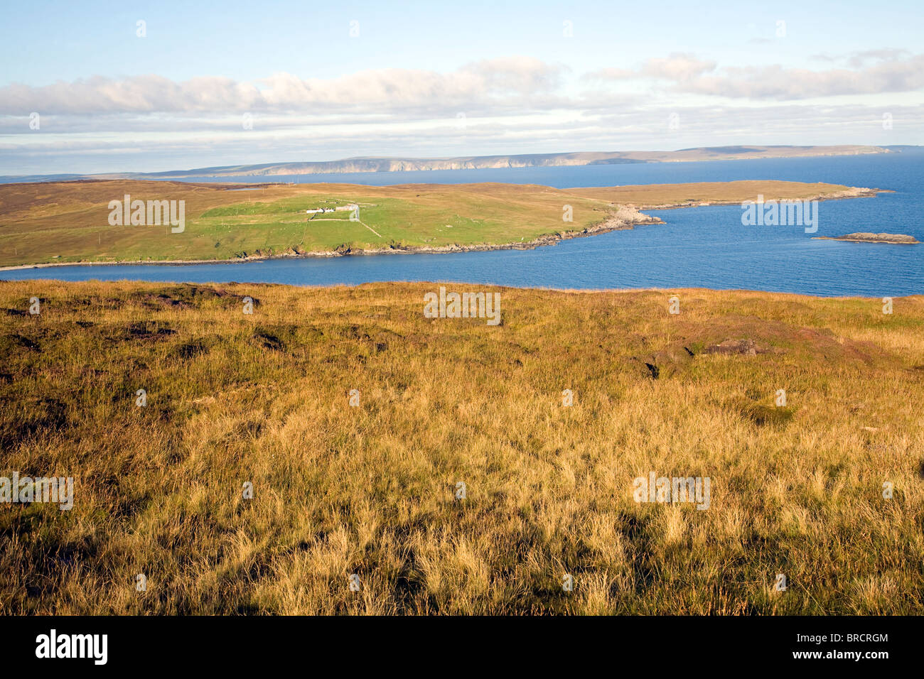 Isolated croft farmhouse, Otterswick, Yell, Shetland Islands, Scotland Stock Photo