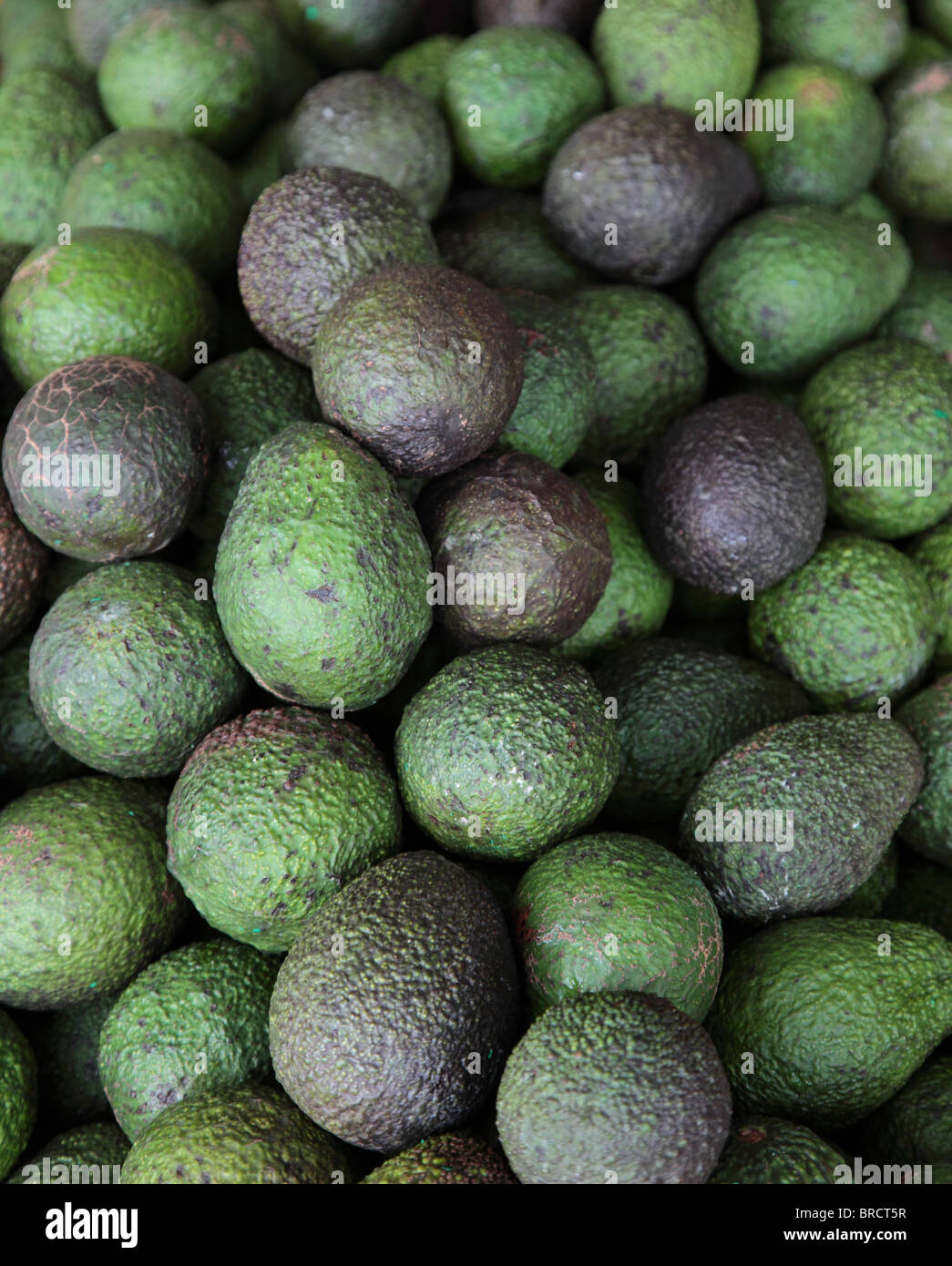 Market stall offering avocados. Stock Photo