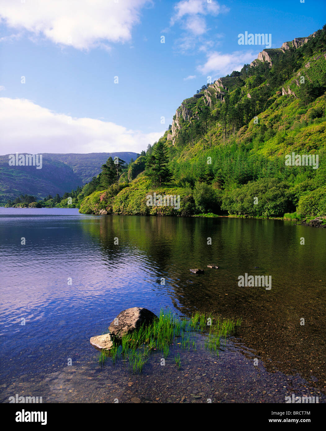 Glanmore Lake, Beara Peninsula, Co Cork, Ireland; Lake And Shoreline In