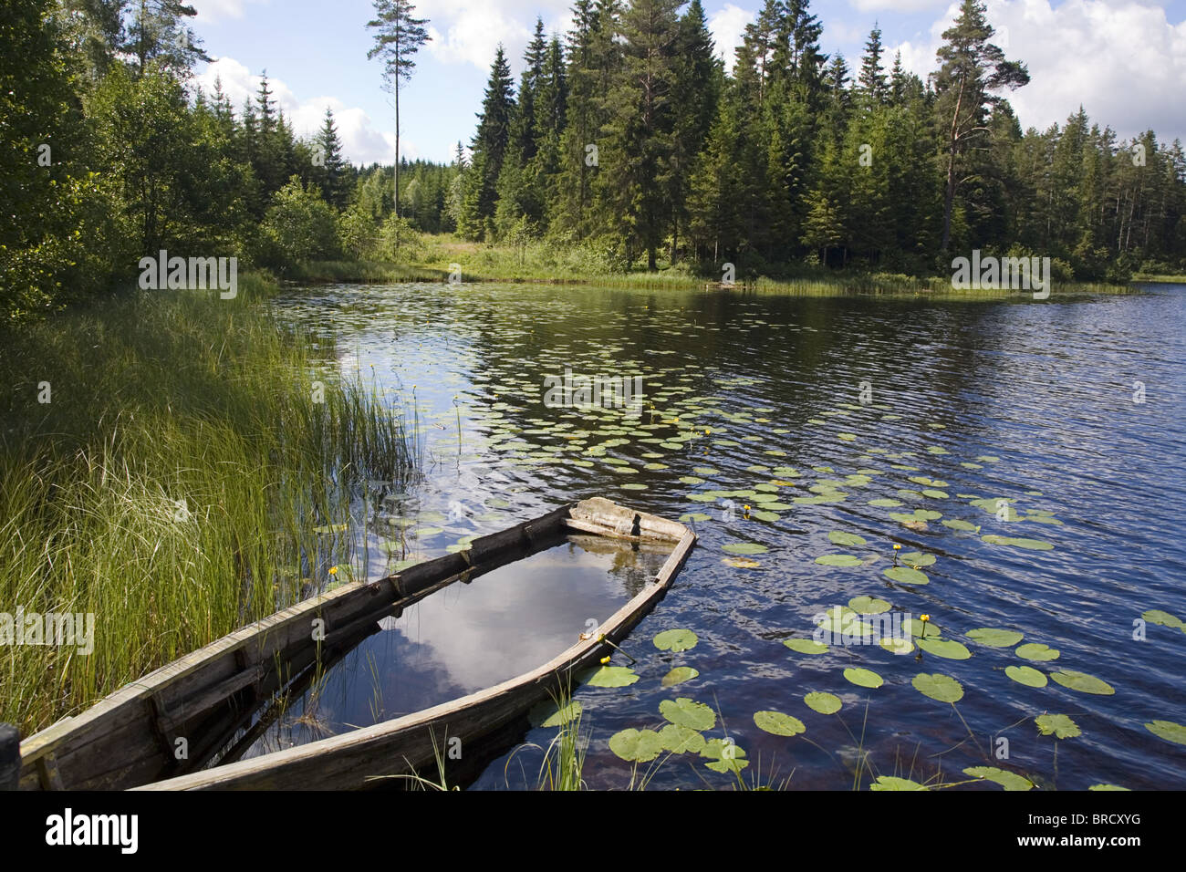 Norwegian lake with sunken wooden rowing boat, Halden, Norway Stock Photo