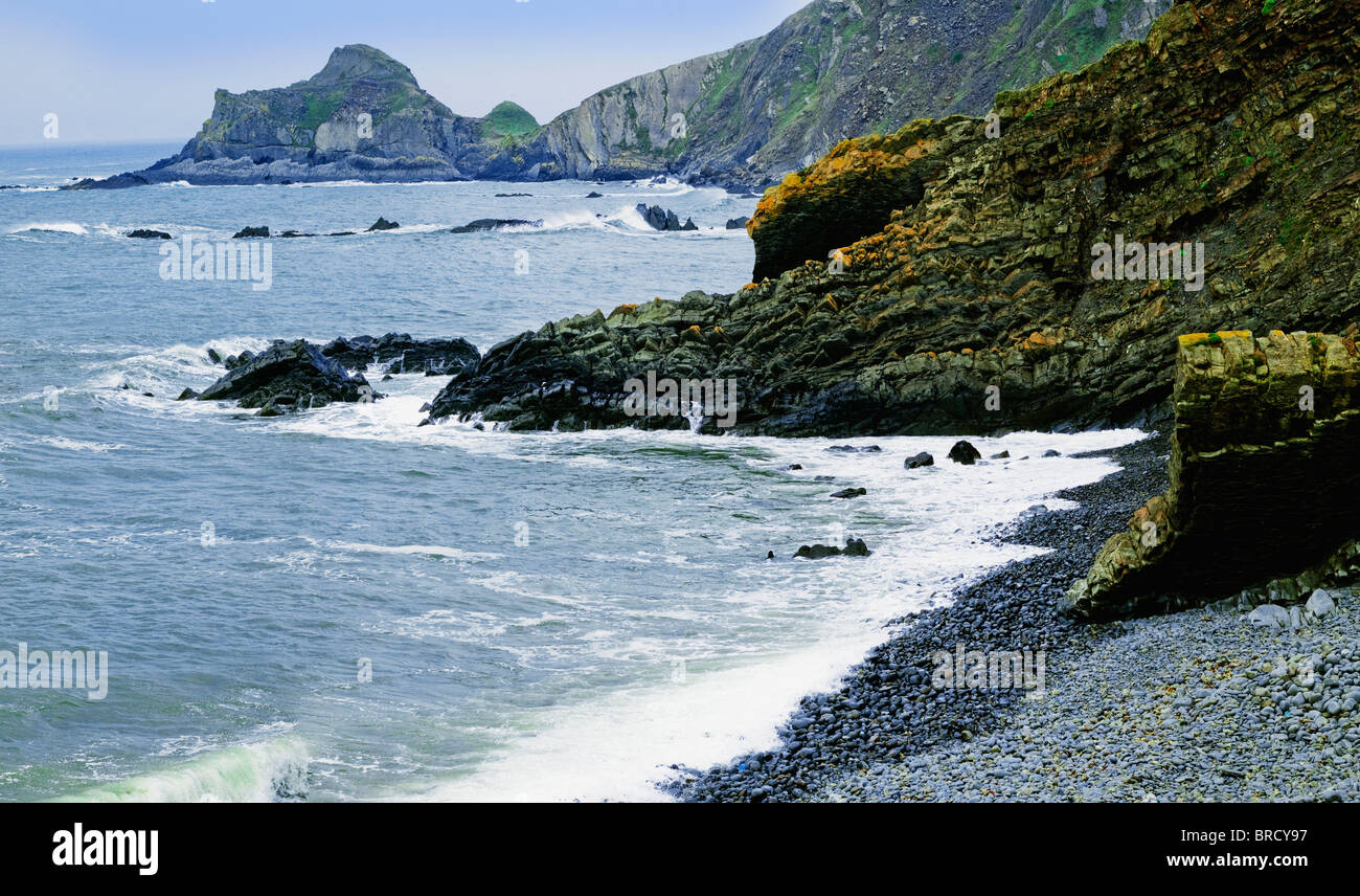 the beach and bay in the estate grounds of hartland abbey at hartland point on the north devon coast Stock Photo