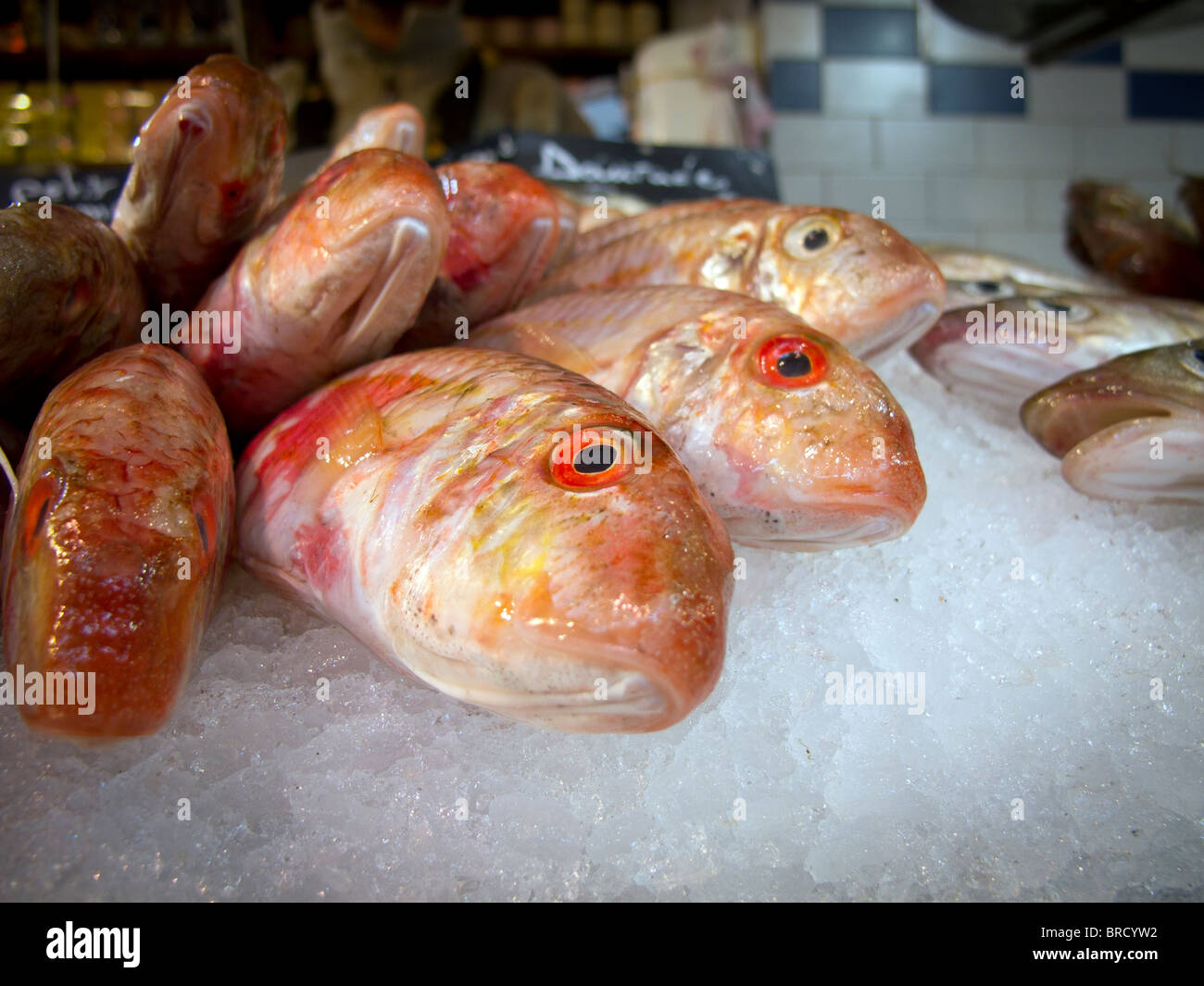 Fish on display at the indoor fresh food market in St Martin de Re on the Ile de Re on the Atlantic coast of France Stock Photo