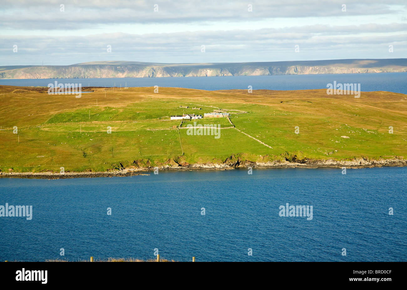 Isolated croft farmhouse, Otterswick, Yell, Shetland Islands, Scotland Stock Photo