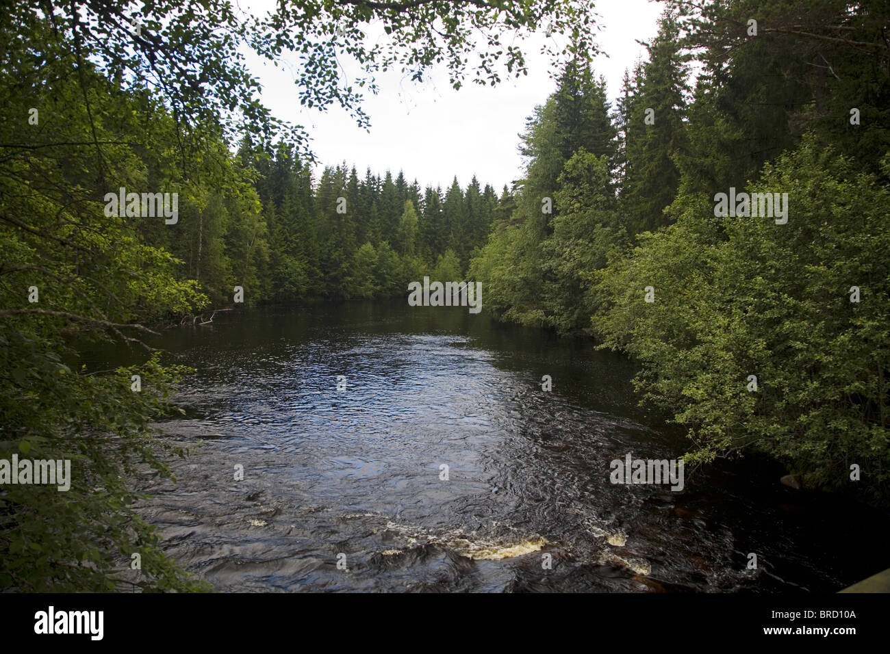 Small river near Torsby, Värmland, Sweden Stock Photo