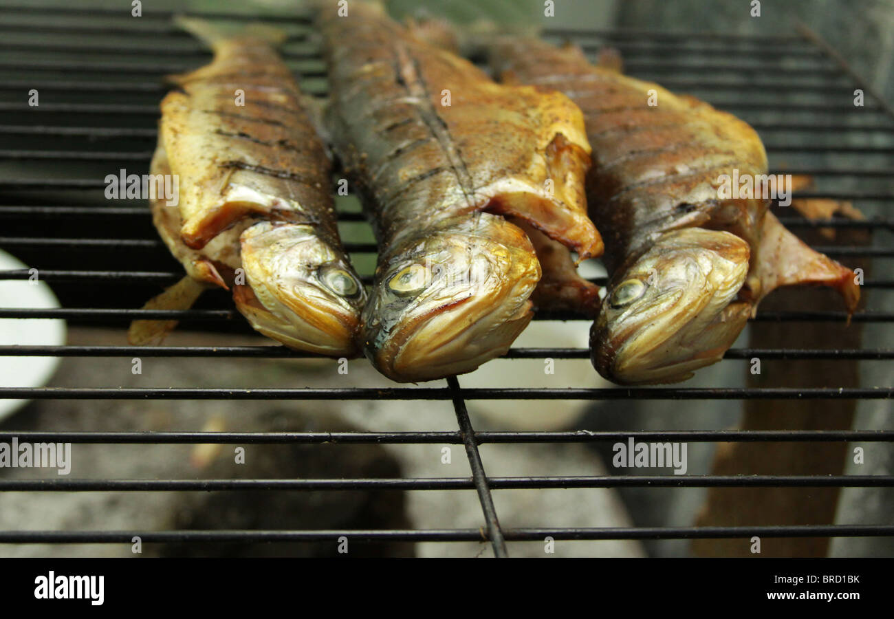 Fish being cooked on an improvised stove Stock Photo Alamy