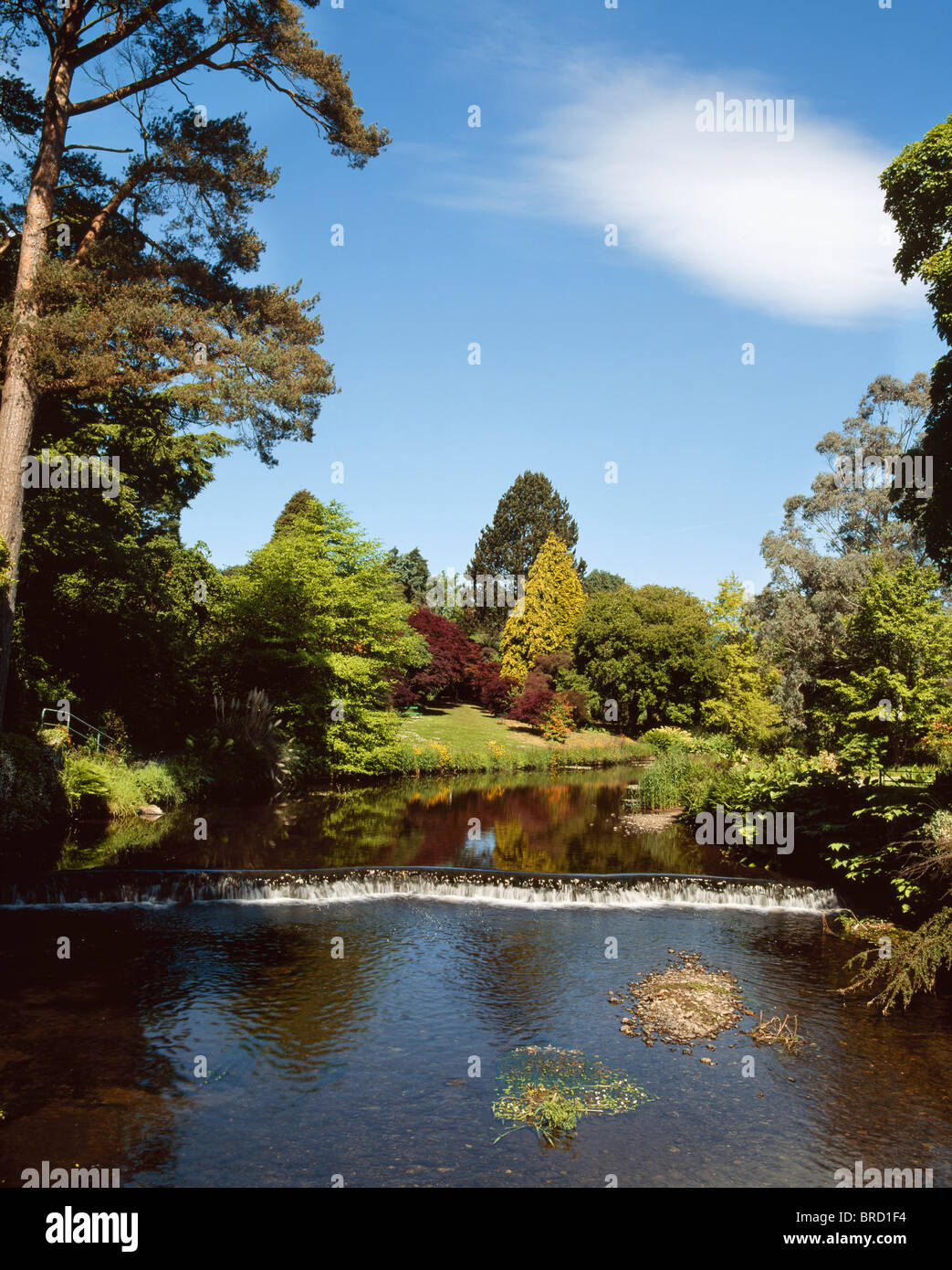 River Vartry, Mount Usher Gardens, Ashford, Co Wicklow, Ireland; River