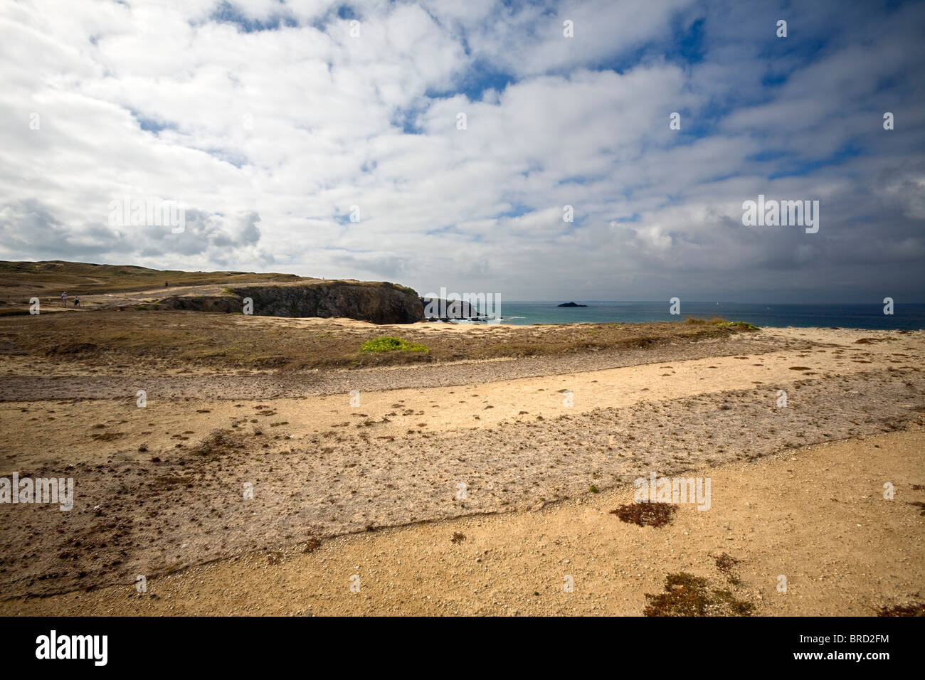 The struggle against soil erosion of the Quiberon peninsula. Lutte contre l'érosion des sols de la presqu'île de Quiberon. Stock Photo