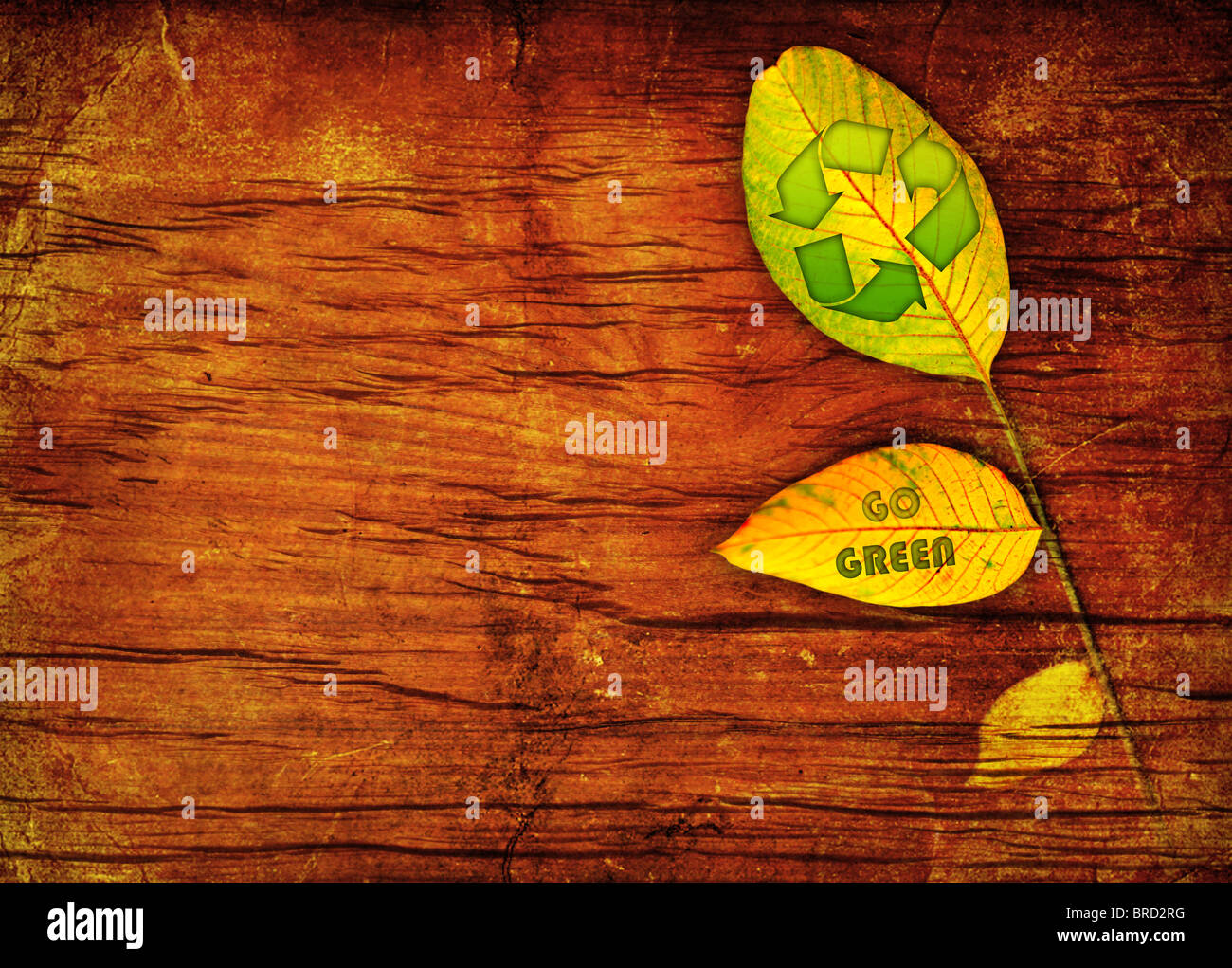 Recycle symbol on the leaf wooden background Stock Photo - Alamy