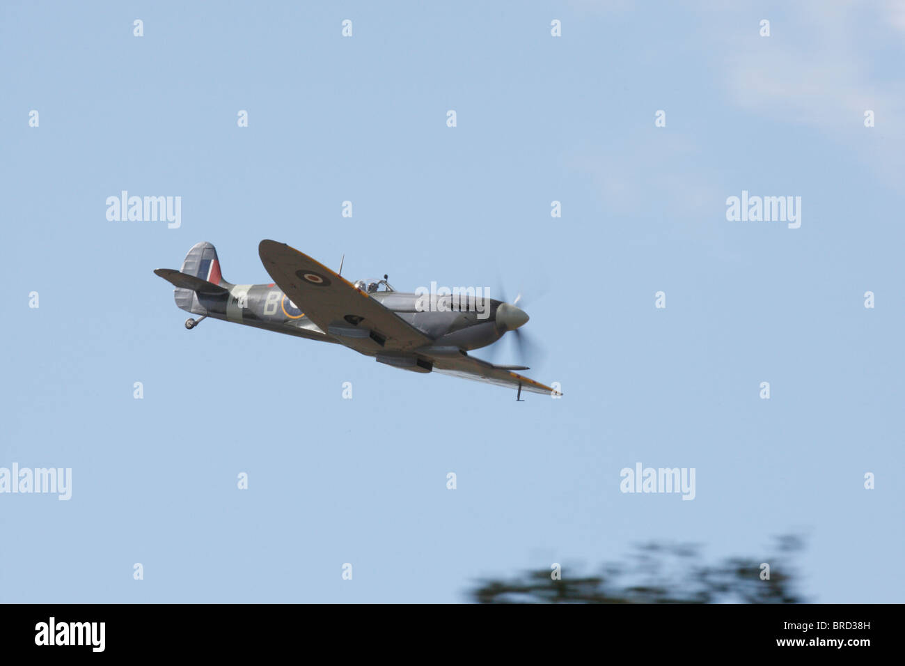 Supermarine Spitfire displaying at Goodwood 2010 Stock Photo