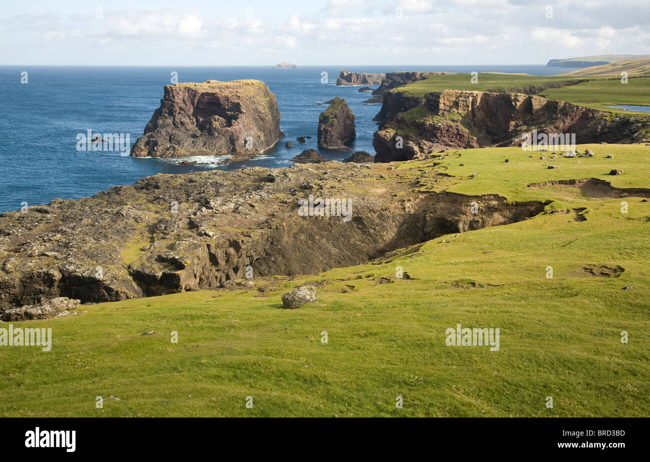 Rocky coast Eshaness Shetland Islands Scotland Stock Photo