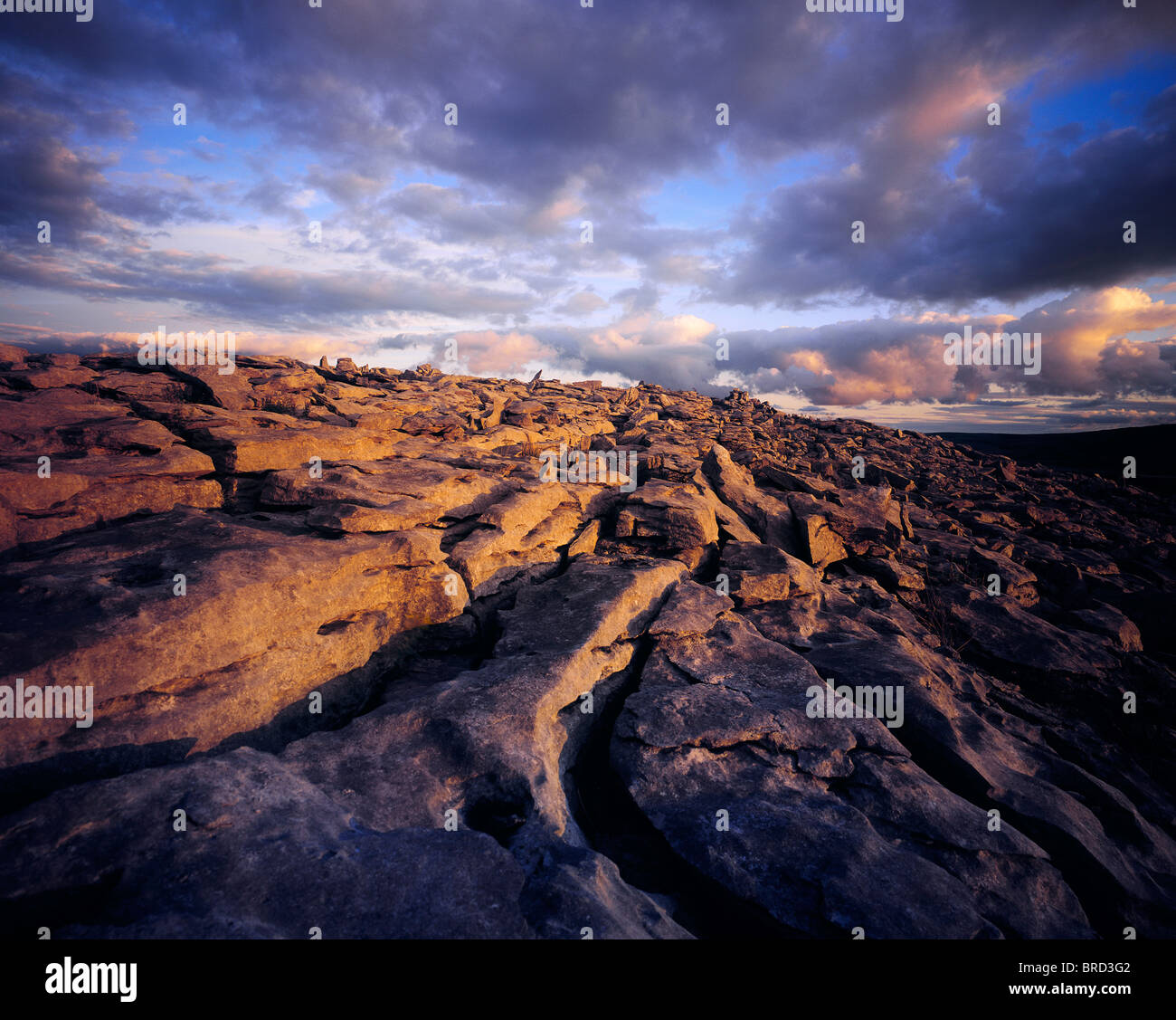 The Burren, Co Clare, Ireland, KarstLandscape Region Stock Photo Alamy