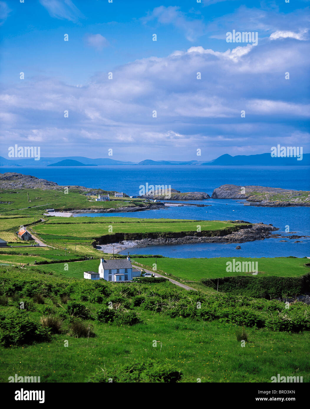 Garinish Point, Beara Peninsula, Co Cork, Ireland Stock Photo Alamy