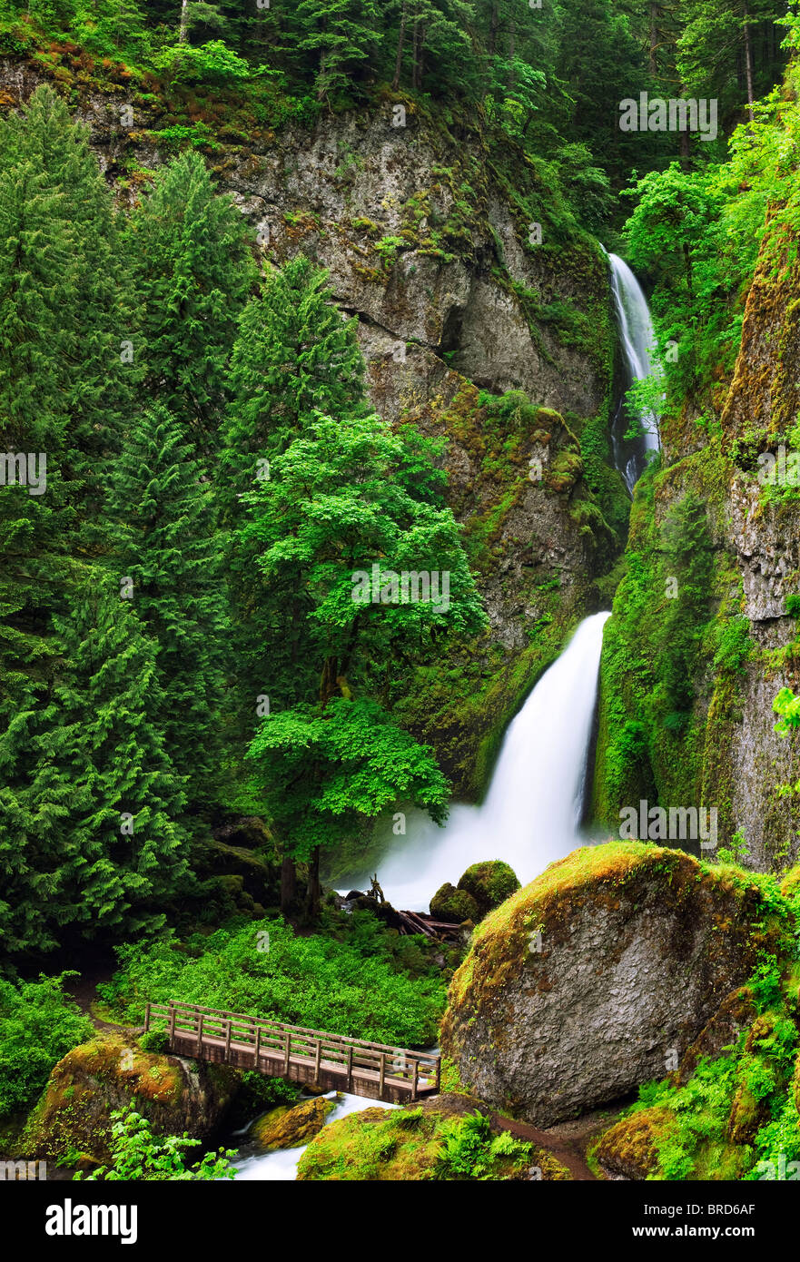 Tanner Creek Falls with bridge. Columbia River Gorge National Scenic Area, Oregon Stock Photo