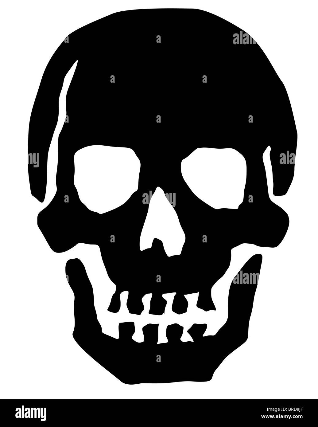 Stylized skull. All on white background Stock Photo