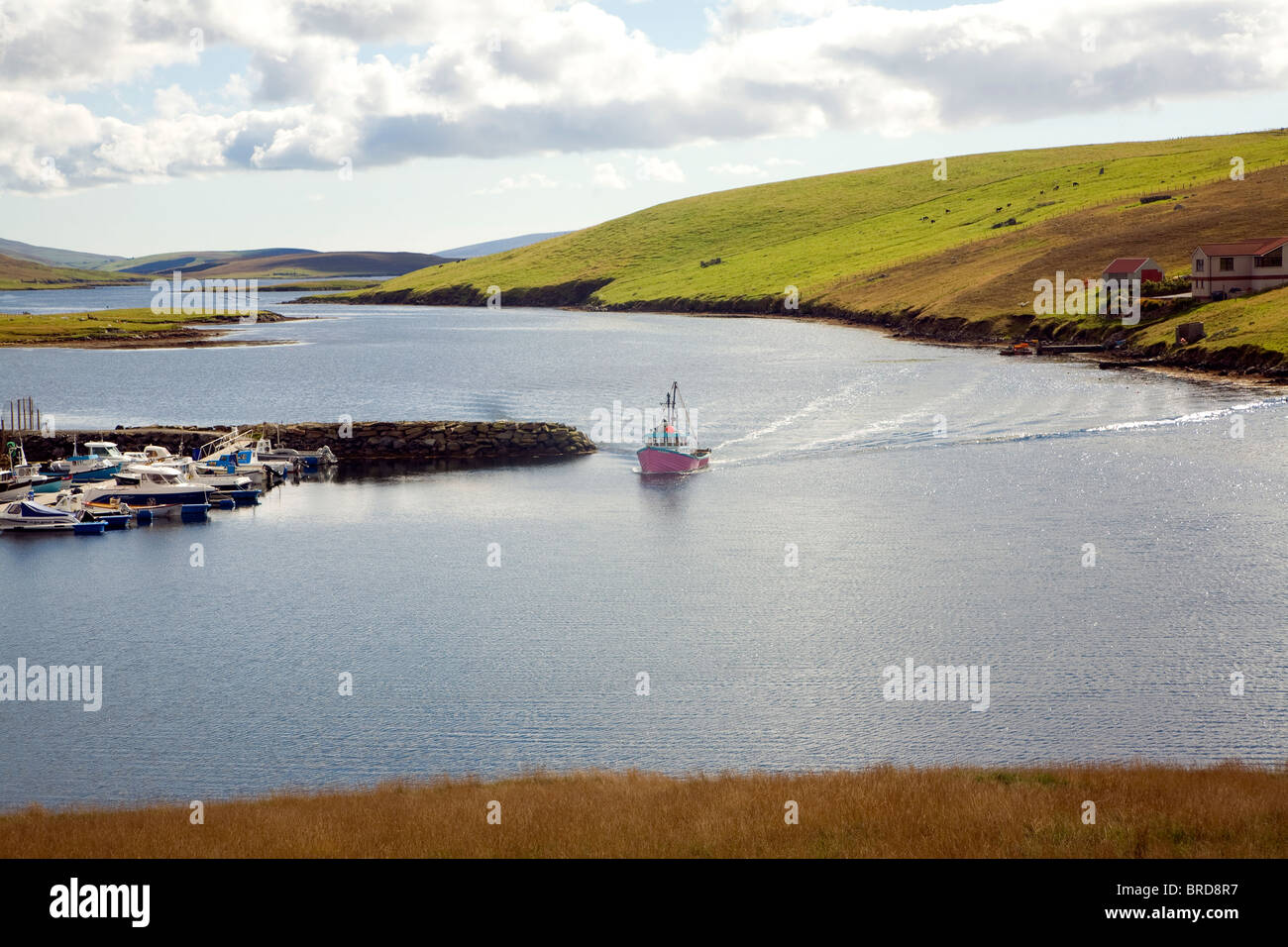 Pink fishing trawler, South Voe, West Burra, Shetland Islands, Scotland Stock Photo