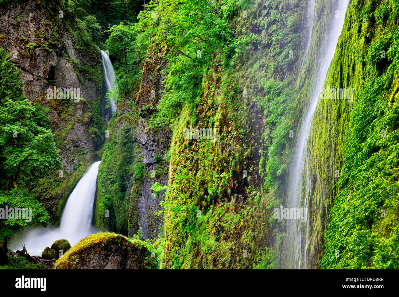 Tanner Creek Falls. Columbia River Gorge National Scenic Area, Oregon Stock Photo