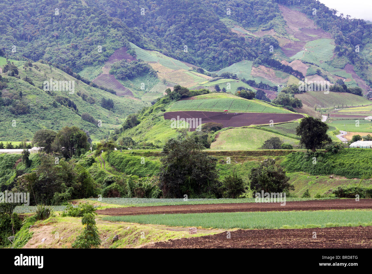 Farm landscape in Cerro Punta, Chiriqui, Panama Stock Photo