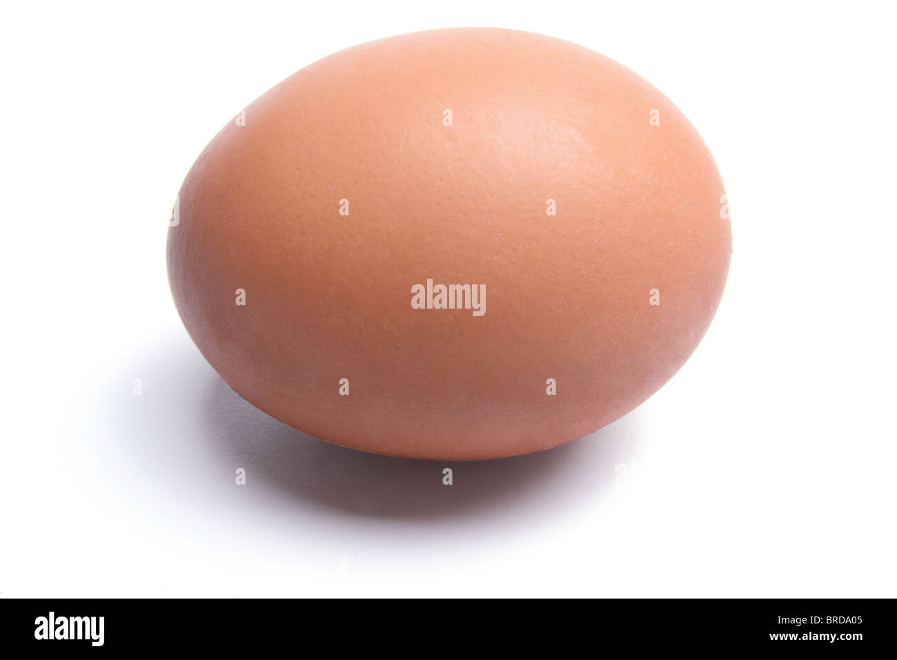 Brown Egg Stock Photo