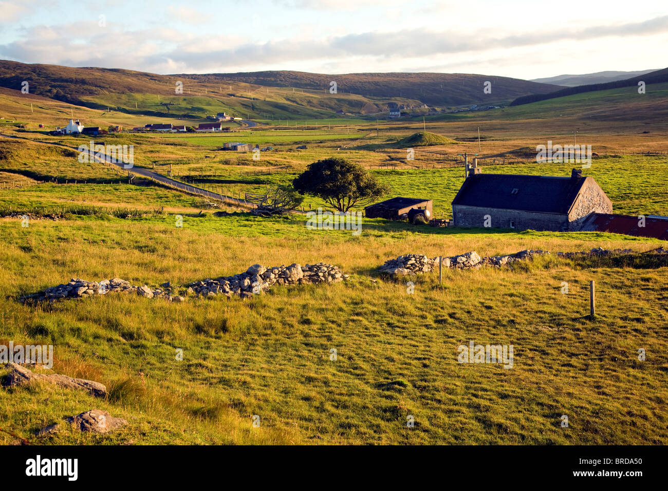 Late afternoon crofting landscape Wethersta, Mainland, Shetland Islands ...