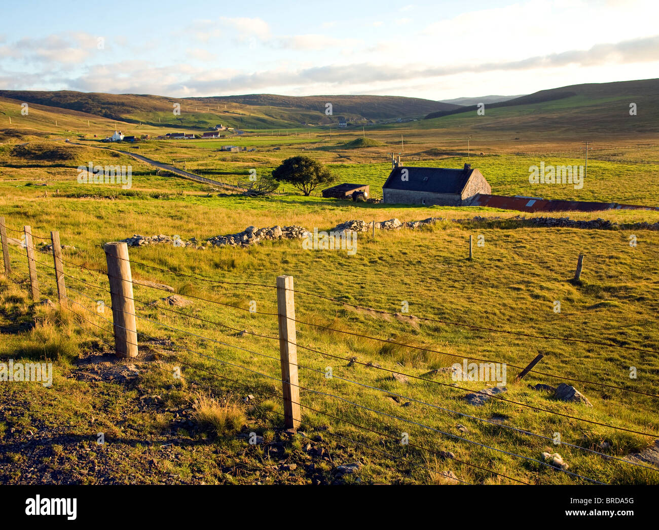Late afternoon crofting landscape Wethersta, Mainland, Shetland Islands, Scotland Stock Photo