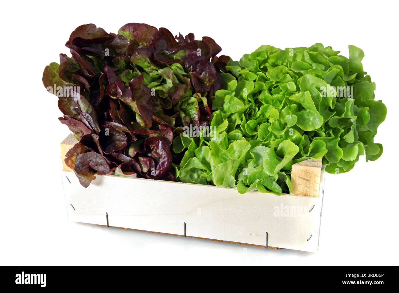 Two heads of lettuce in a wooden box. All isolated on white background