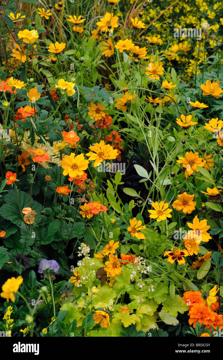 mixed perennial flower bed multi multiple color colors yellow orange
