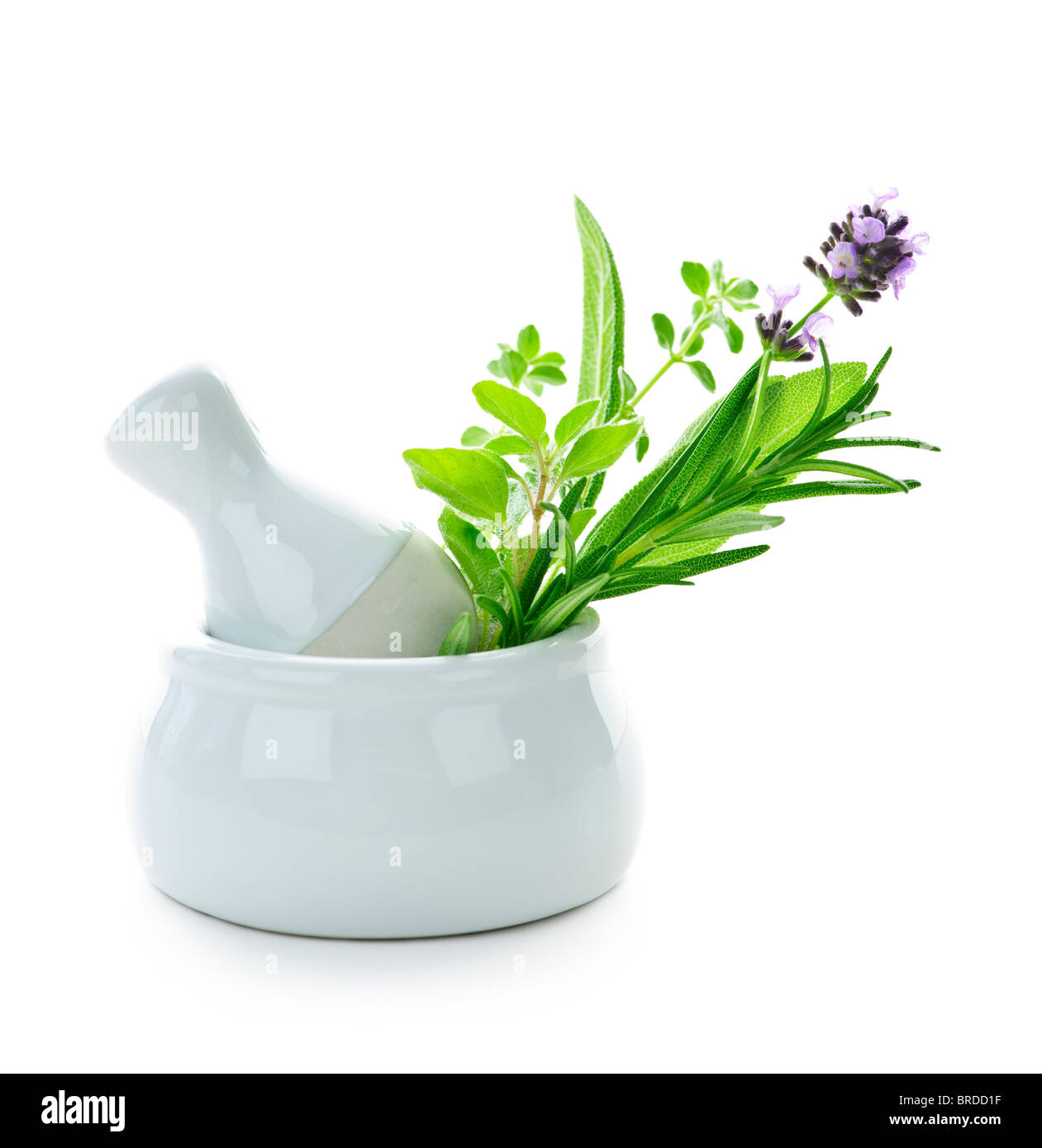 Healing herbs in white ceramic mortar and pestle isolated on white background Stock Photo