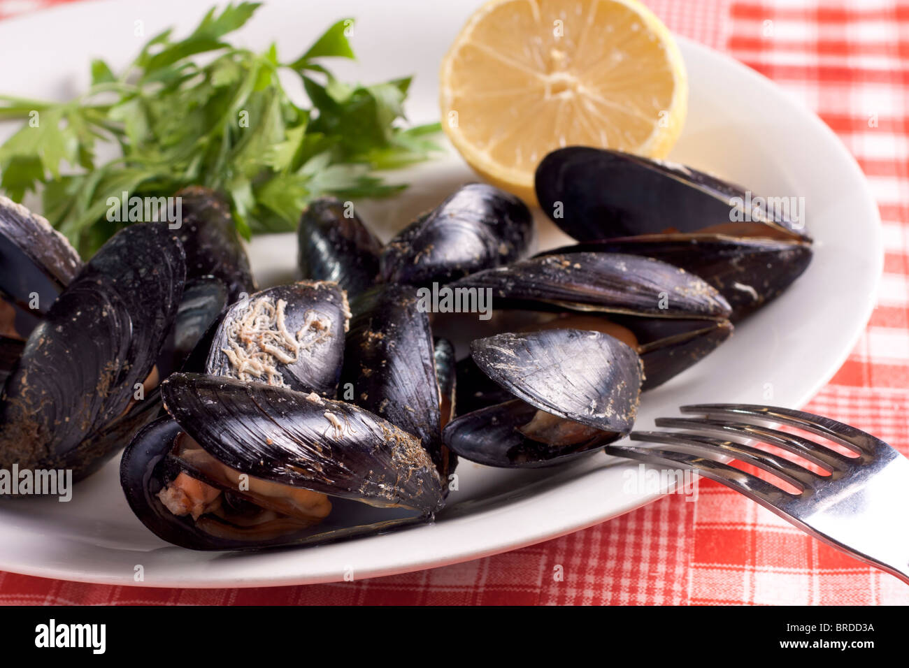 Mussels with Lemon and Parsley Stock Photo