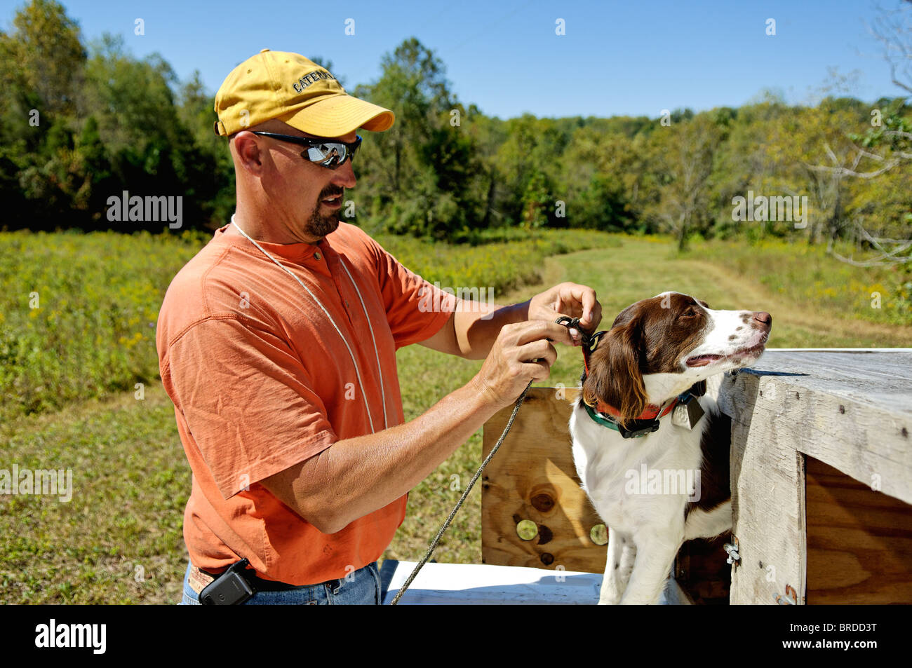 Dog Trainer Working with Brittany on Tailgate of Truck in Harrison