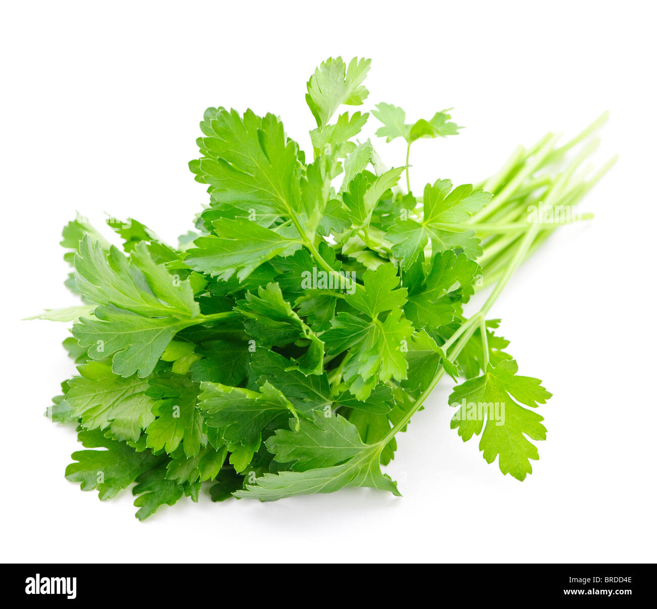 Bunch of Fresh green parsley isolated on white background Stock Photo ...