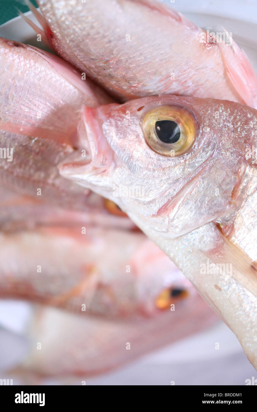 Details of raw fresh fish at the market, close-up Stock Photo