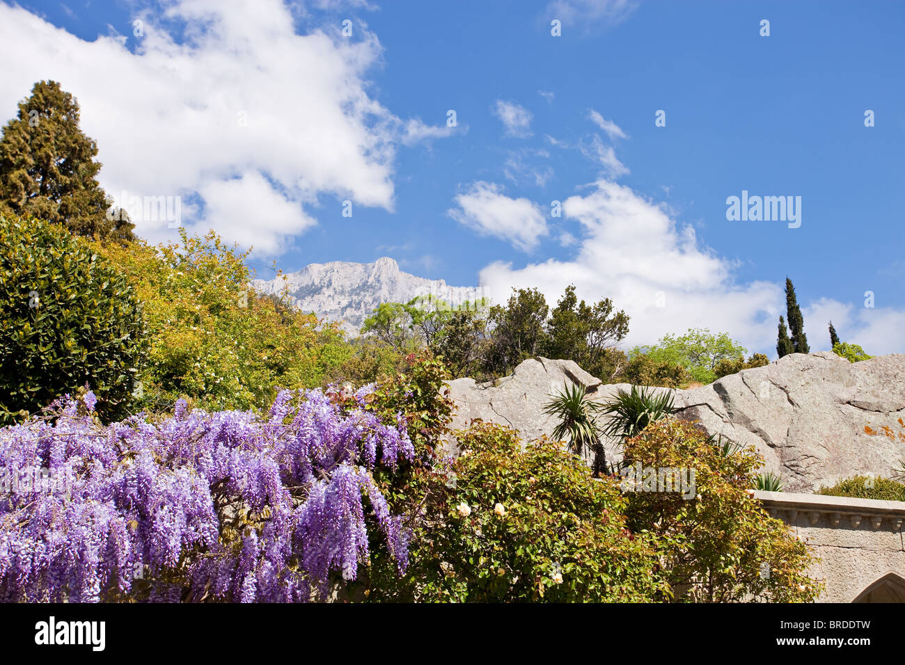 Flowers trees mountains hi-res stock photography and images - Alamy