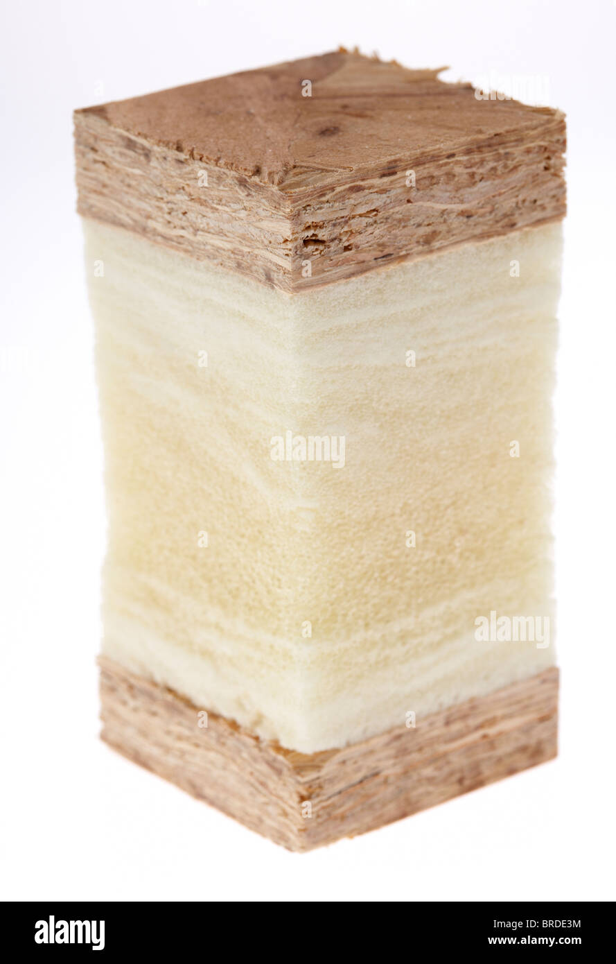 slice cross section of a structural insulated panels modern timber frame insulated construction Stock Photo