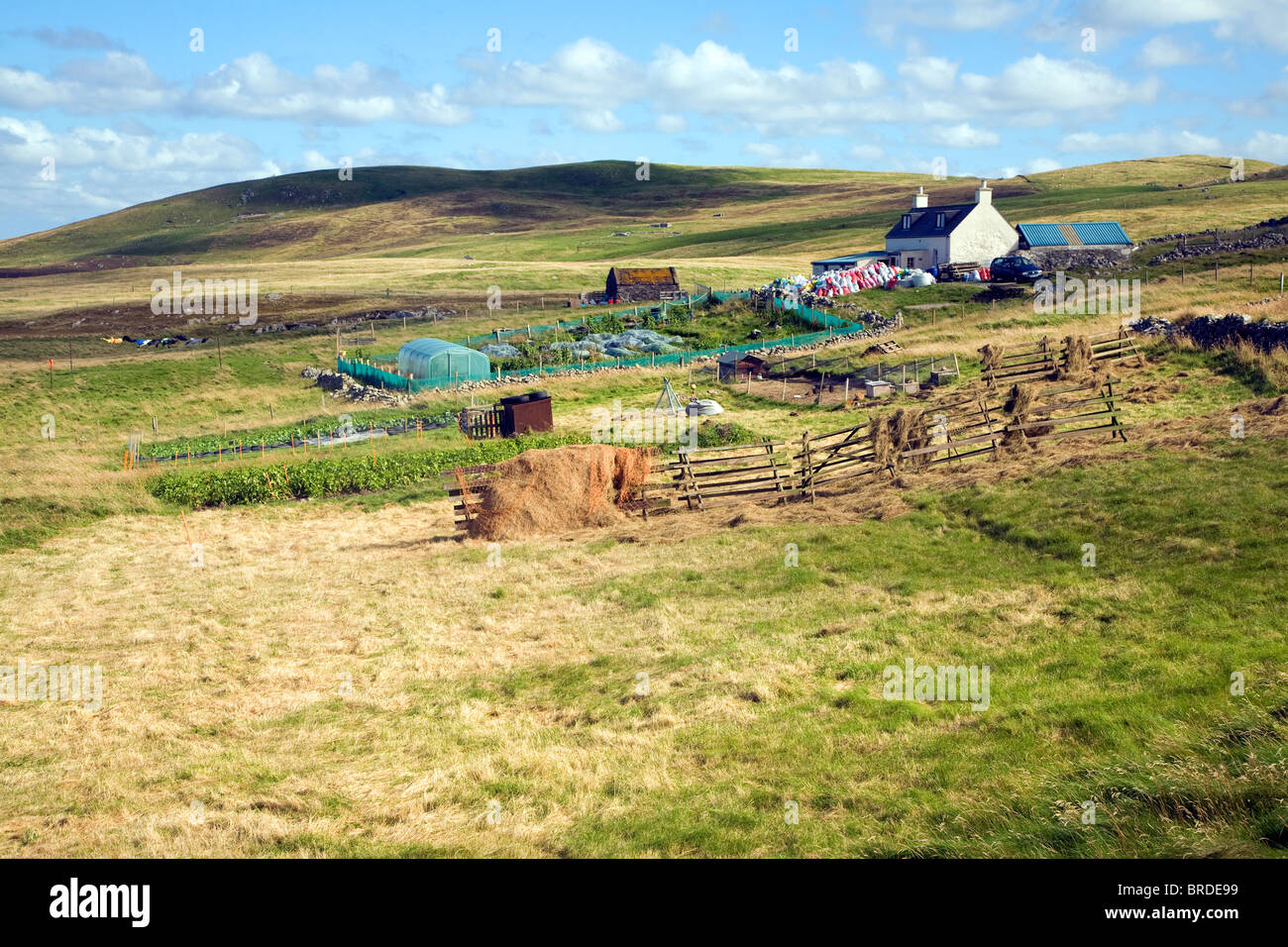 Croft house garden, Sandness, Mainland, Shetland Islands, Scotland Stock Photo