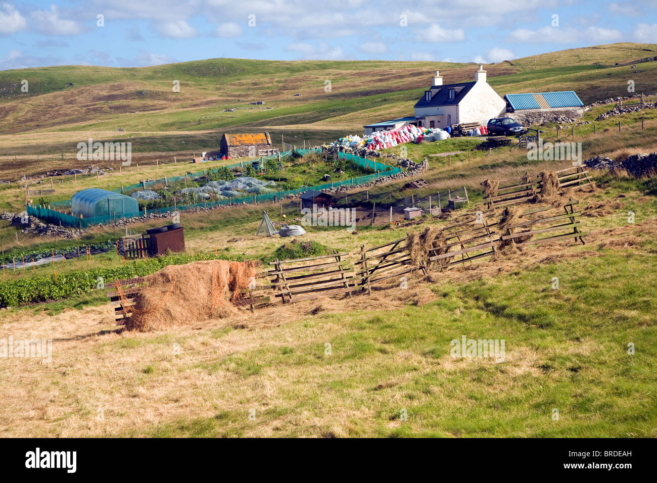 Croft house garden, Sandness, Mainland, Shetland Islands, Scotland Stock Photo