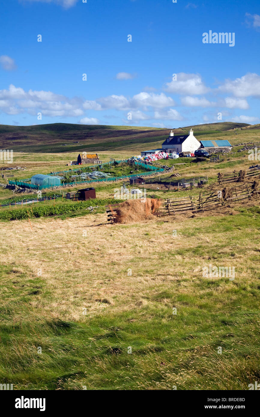 Croft house garden, Sandness, Mainland, Shetland Islands, Scotland Stock Photo