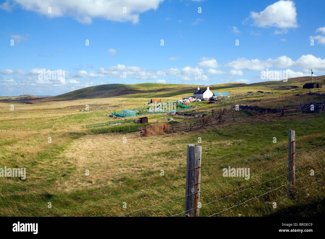 Croft house garden, Sandness, Mainland, Shetland Islands, Scotland Stock Photo