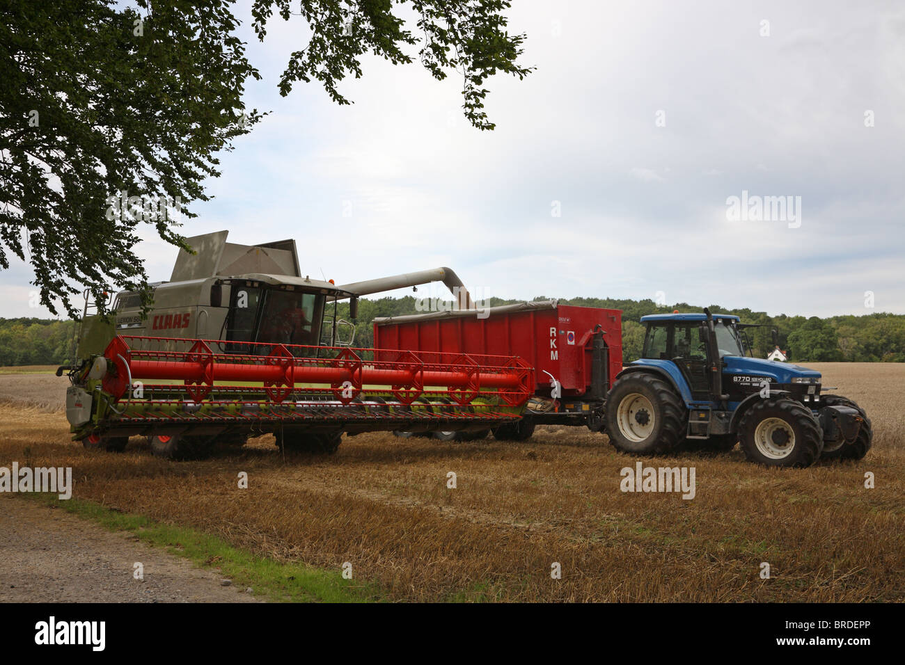 Combine harvester emptying a load of wheat through the auger into a trailer while harvesting a