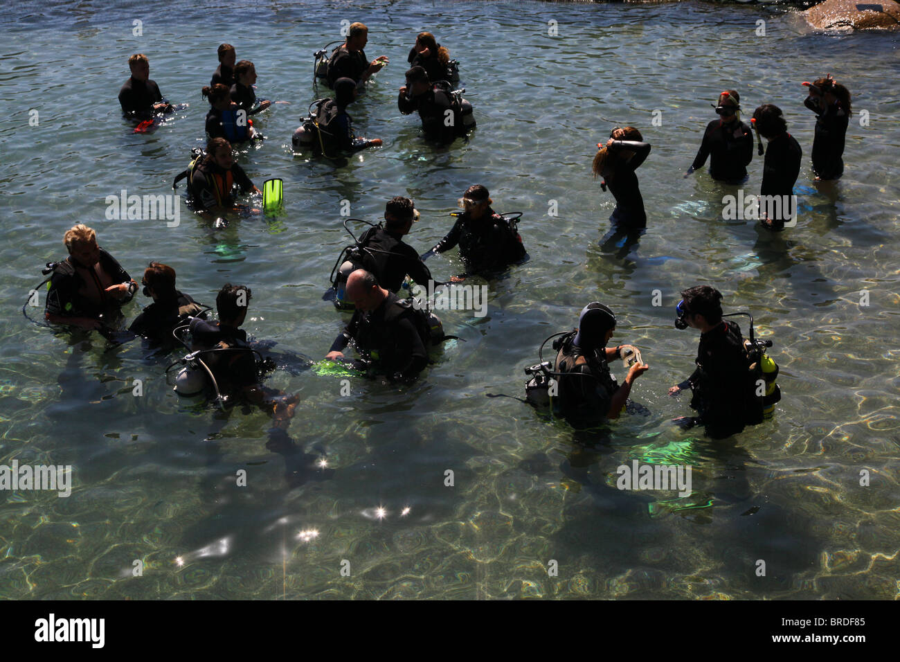 Trainee divers at the shallow waters of the Dolphin Reef in Eilat Israel Stock Photo