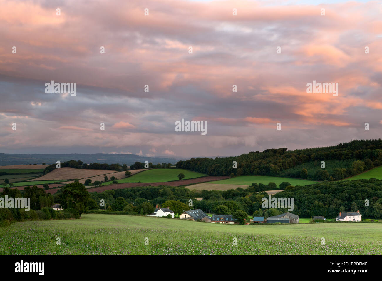 Cullompton hires stock photography and images Alamy