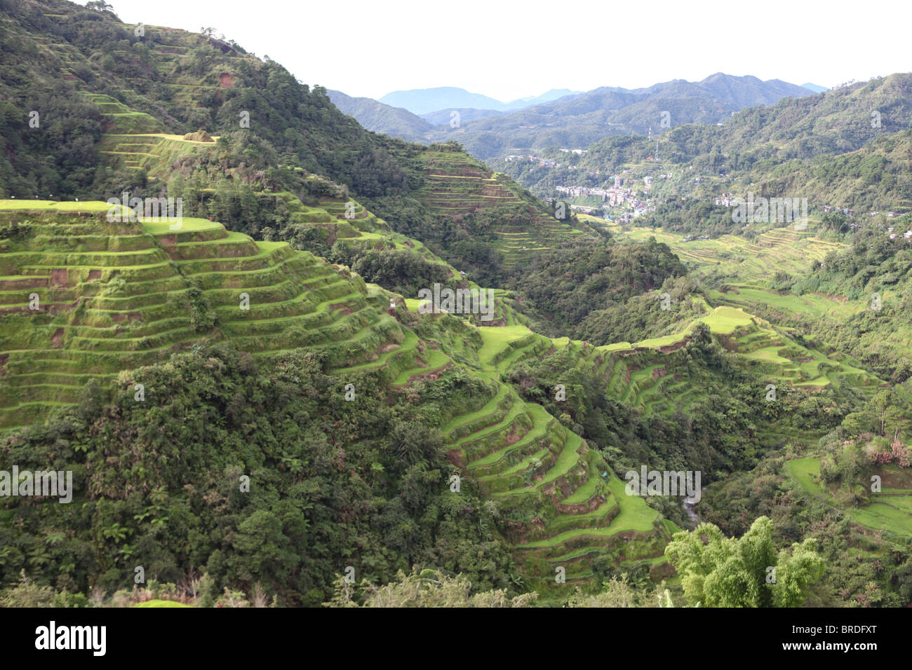 Ancient Rice Terraces of Banaue Stock Photo - Alamy